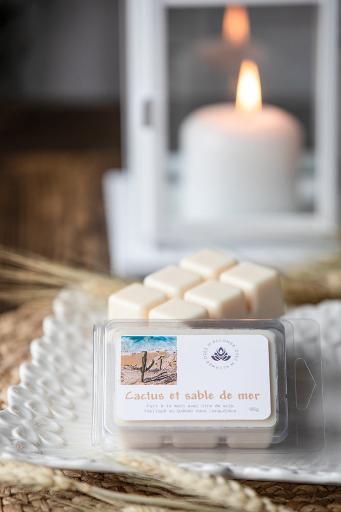 Tablettes de cire (choix de fragrances)