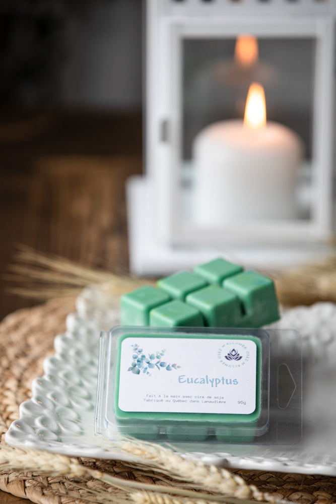 Tablettes de cire (choix de fragrances)